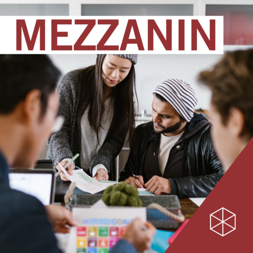 MEZZANIN Podcast: "Probleme sind die Rohstoffe, aus denen Innovation geschehen" - Transformational Entrepreneurship